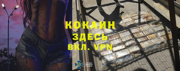 тгк Алексин