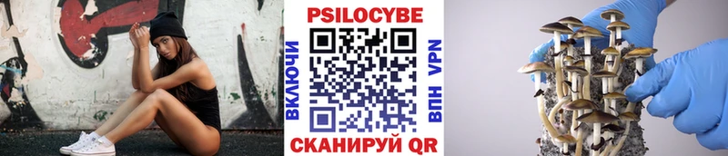 Псилоцибиновые грибы прущие грибы  Петровск 