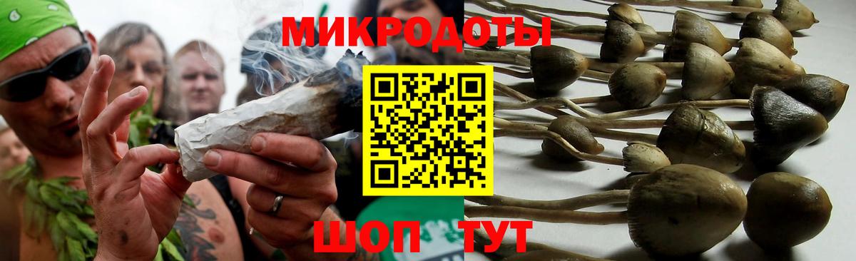 Галлюциногенные грибы Cubensis Петровск